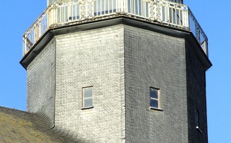 Revolutionary ‘eBeam’ Tech Set to Combat Screwworm Infestation | PRIMENEWSNOW