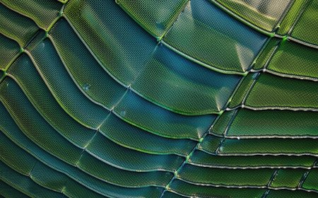 Unlocking the Future: Why Adaptation Finance is Key for COP30 and Beyond | PRIMENEWSNOW