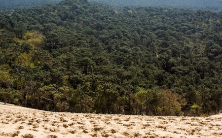 Unveiling Innovation: How Horphag Research Fuels Growth Through Science | PRIMENEWSNOW