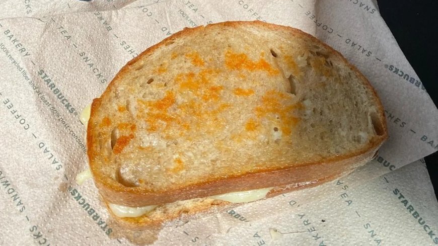 Unlock the Secret to Starbucks’ Irresistible Grilled Cheese (And Make It Yourself!) | PRIMENEWSNOW