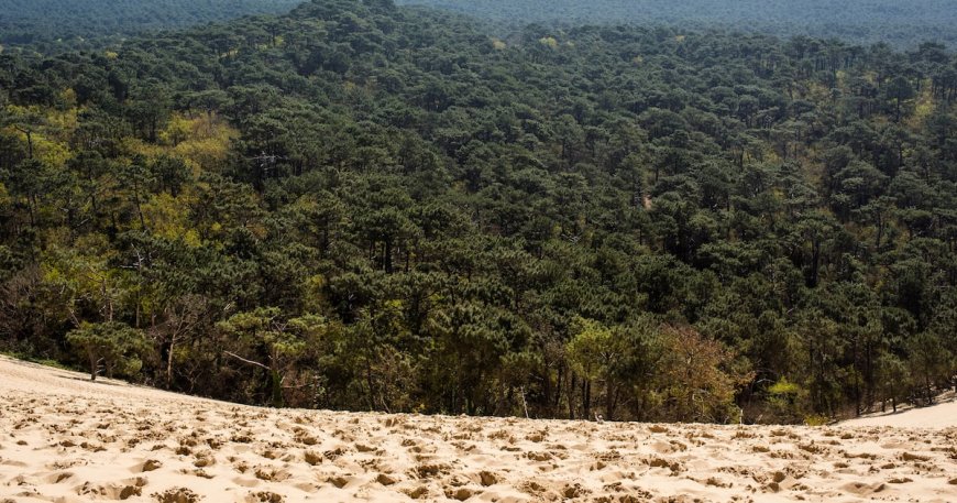 Unveiling Innovation: How Horphag Research Fuels Growth Through Science | PRIMENEWSNOW