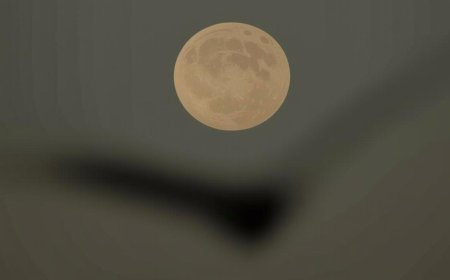 Discover November’s Spectacular Supermoon: The Year’s Closest Encounter | PRIMENEWSNOW