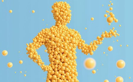 Unlocking the Hidden Power of Body Fat: Transform Your Health and Mind | PRIMENEWSNOW