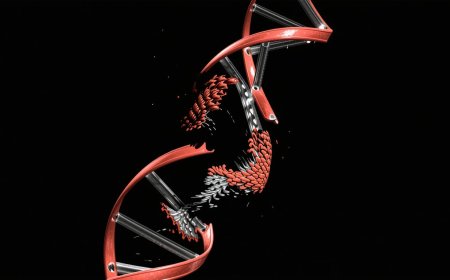 Unraveling the Mystery: Could Inflammation and DNA Damage Trigger CTE? | PRIMENEWSNOW