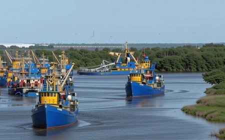 Sponsored: Discover the Science-Backed Solution Safeguarding Louisiana’s Coast and Menhaden Industry | PRIMENEWSNOW