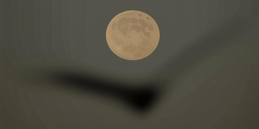 Discover November’s Spectacular Supermoon: The Year’s Closest Encounter | PRIMENEWSNOW