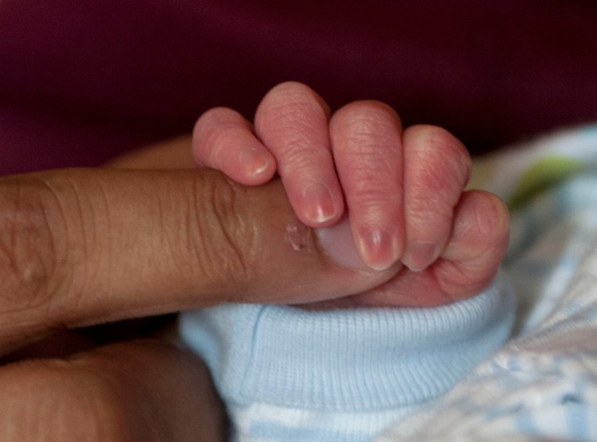 BWell Saginaw Program Wins Top MDHHS Award for Transforming Community Health | PRIMENEWSNOW