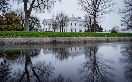 White House Website Hosts Unexpected YouTube Finance Livestream: A Curious Twist | PRIMENEWSNOW