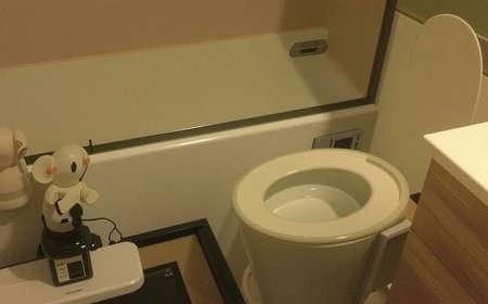 Beware: Rats Could Invade Your Toilets After Floods! | PRIMENEWSNOW